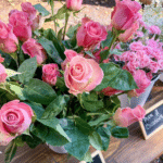 Flower Arranging Workshop with The Roaming Petal