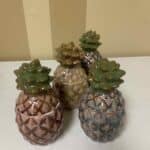 Technique Tuesday: Pineapple Canisters